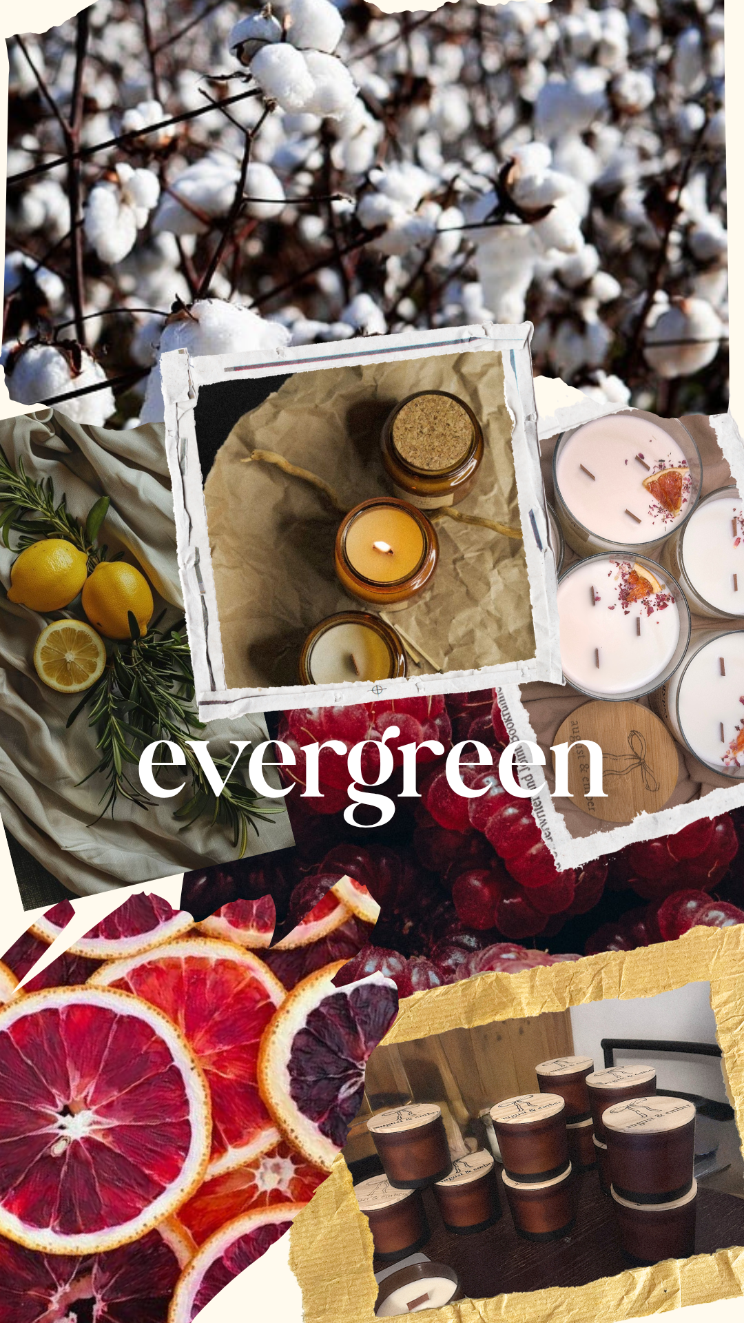 evergreen collection
